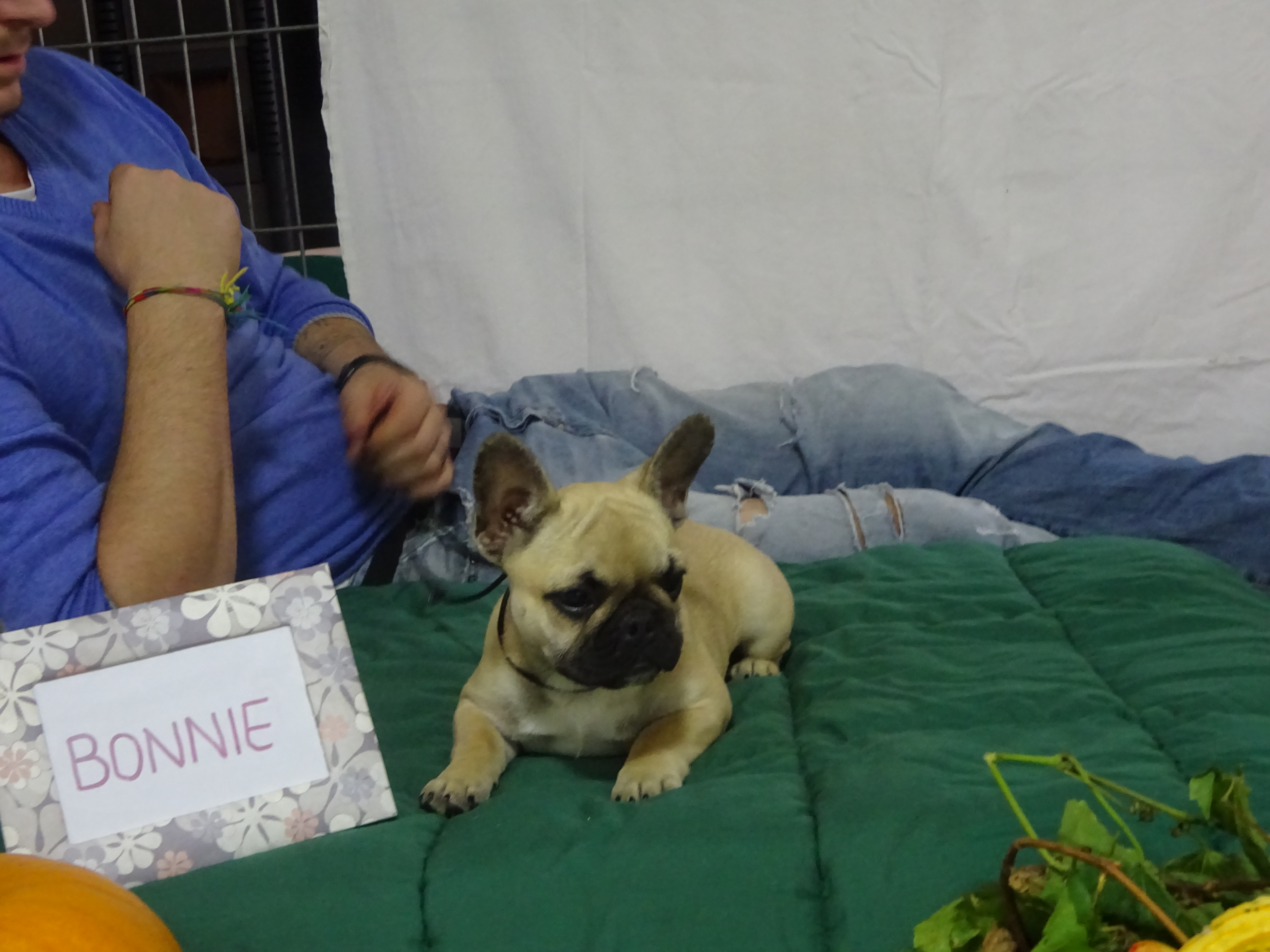 BONNIE
