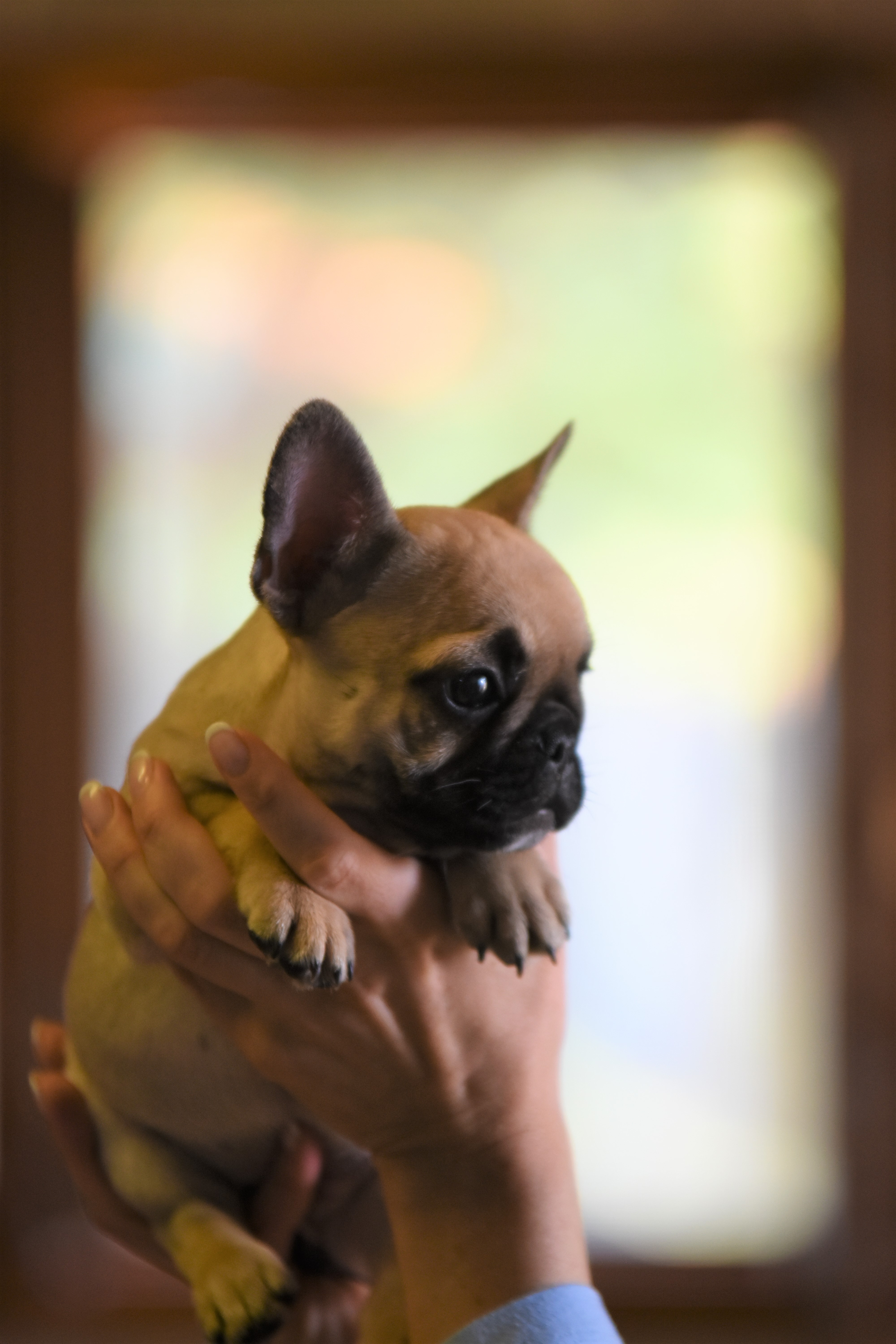 clyde (2)