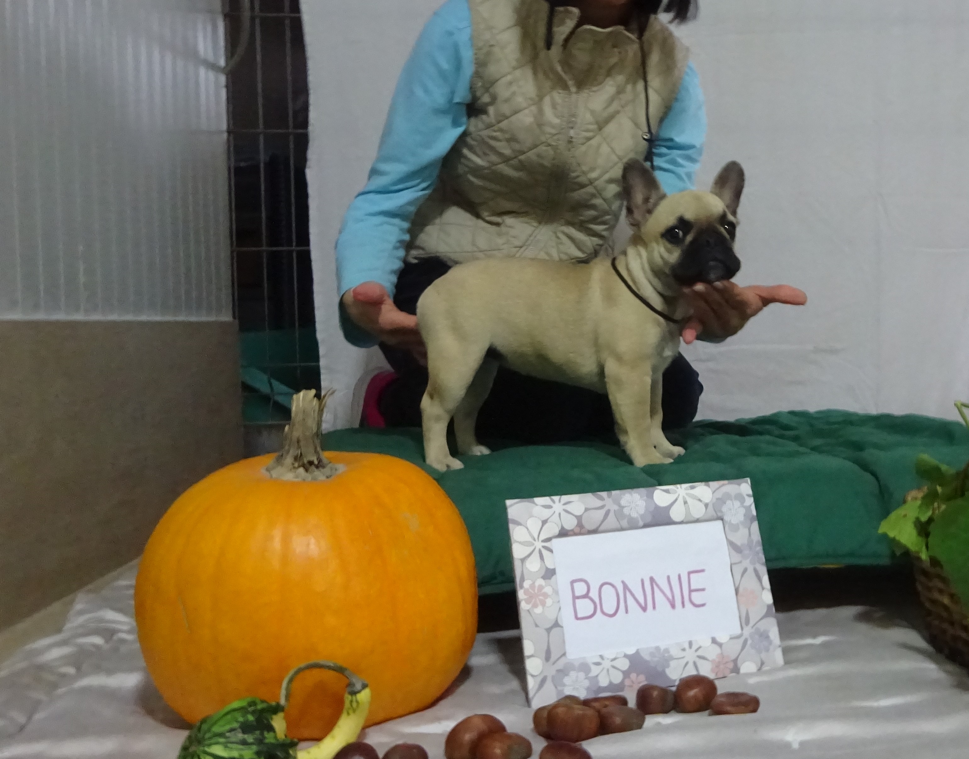 BONNIE