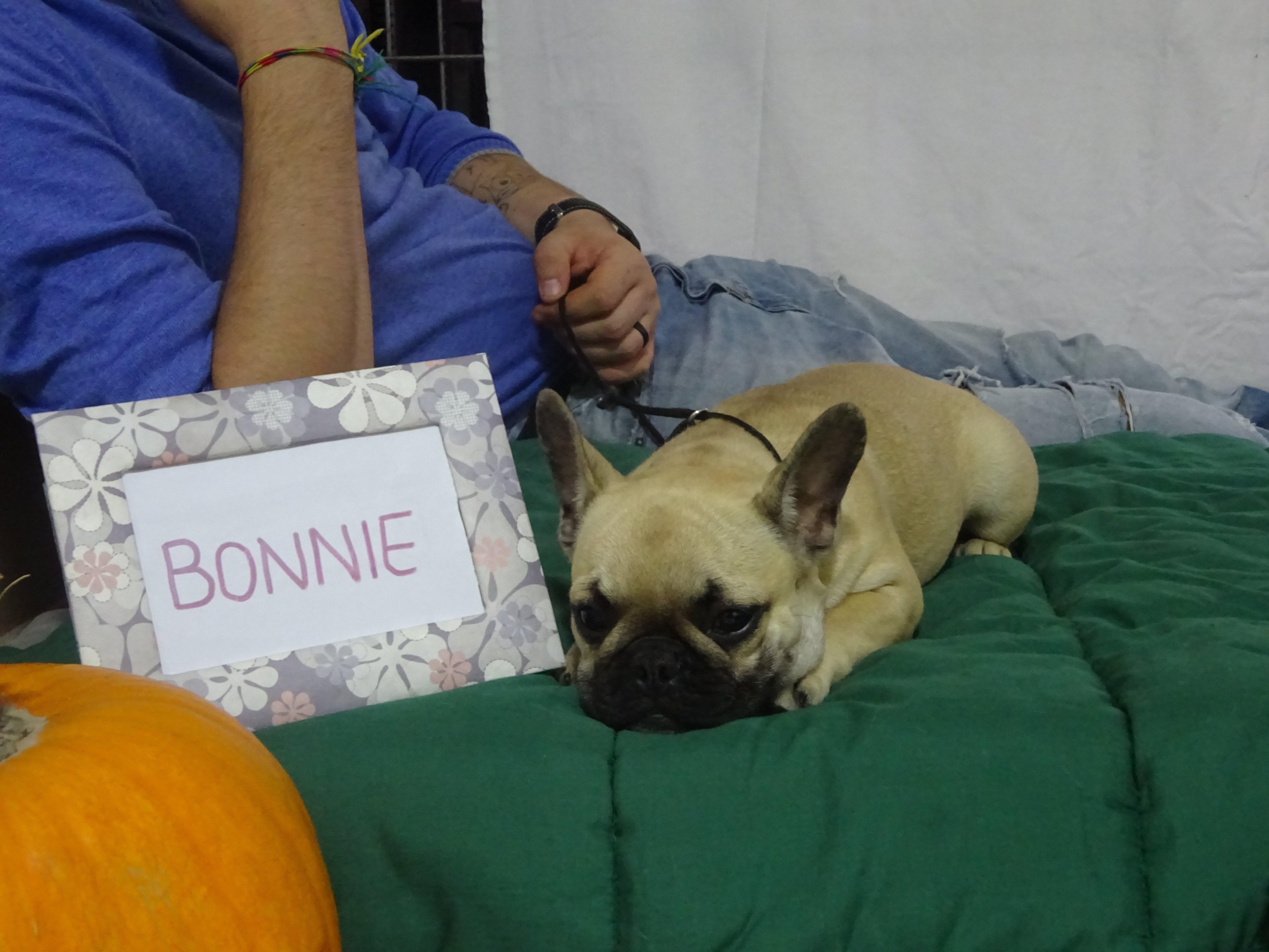 BONNIE