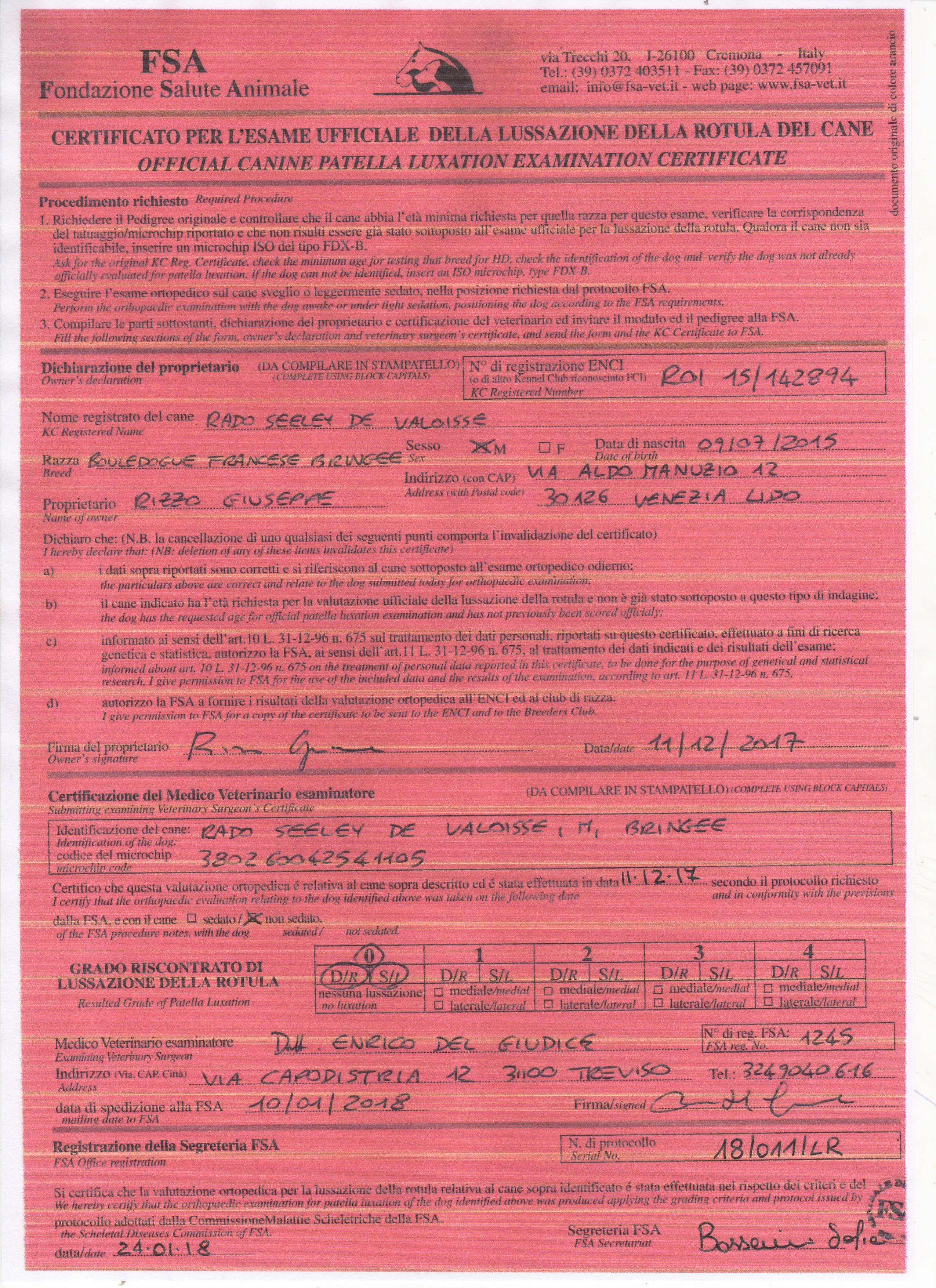 Rado cert. rotula