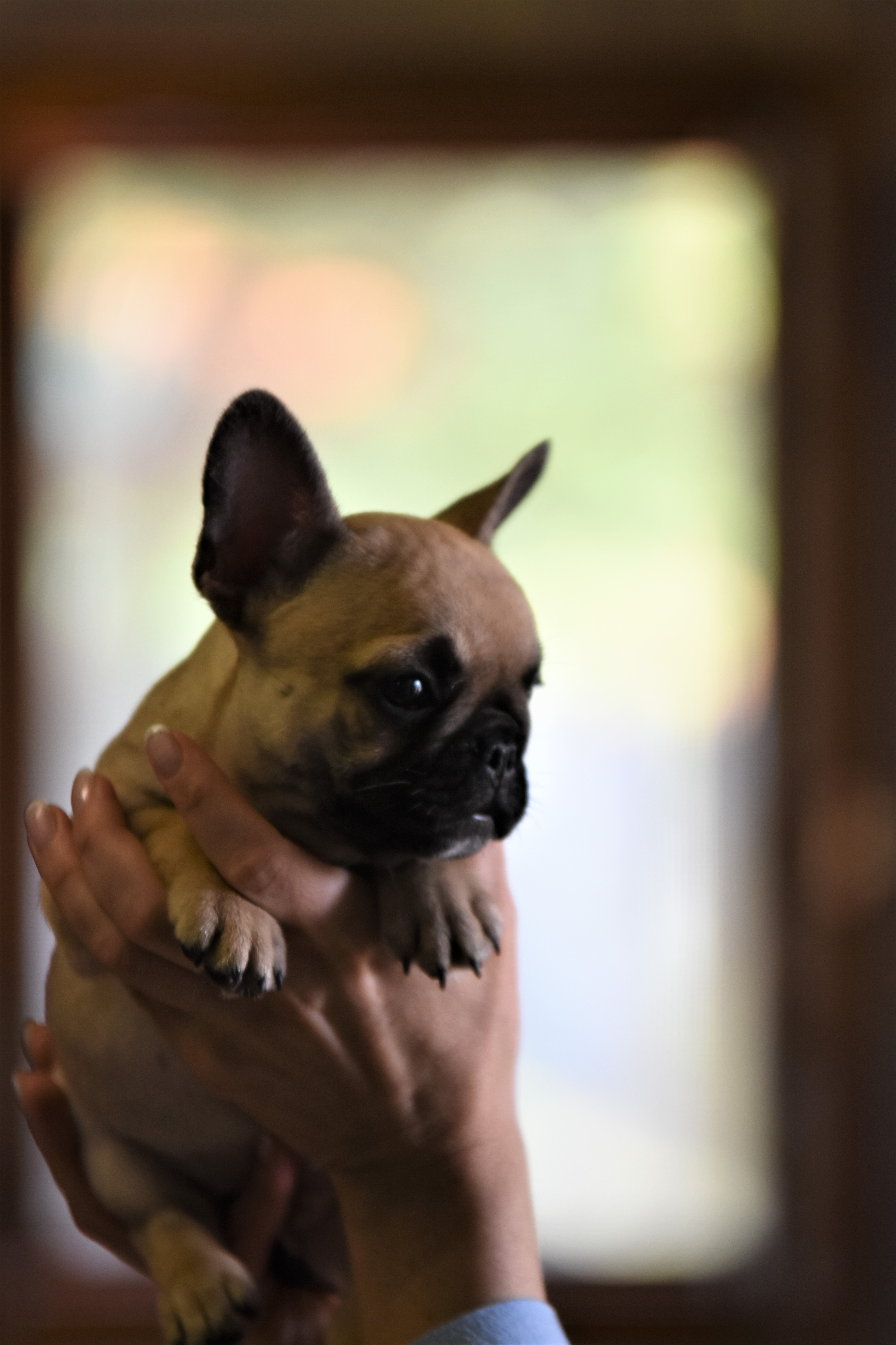 clyde (3)