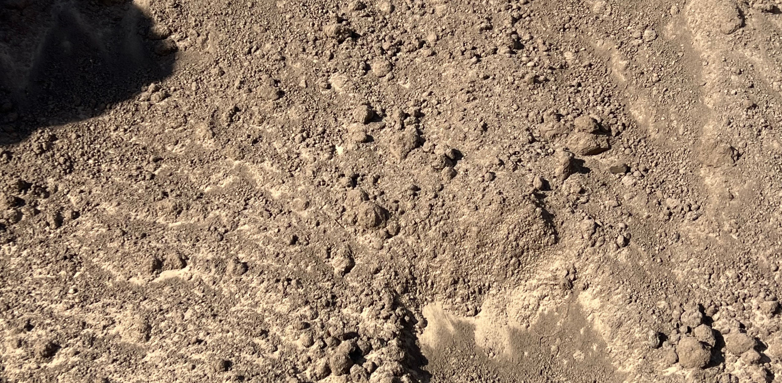 Compost Mix