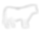 Angus icon_edited_edited_edited.png