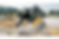 Untitled design (35).png