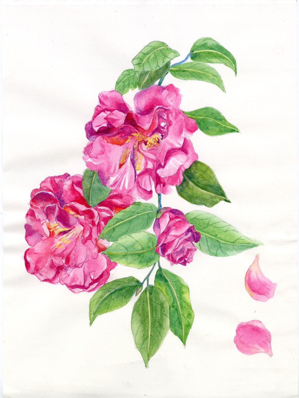 img20200113_15024548