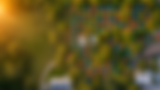 ChatGPT Image Jul 16, 2026, 11_21_17 AM.png