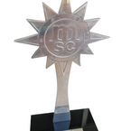 8º TOP MSC ano de 2013