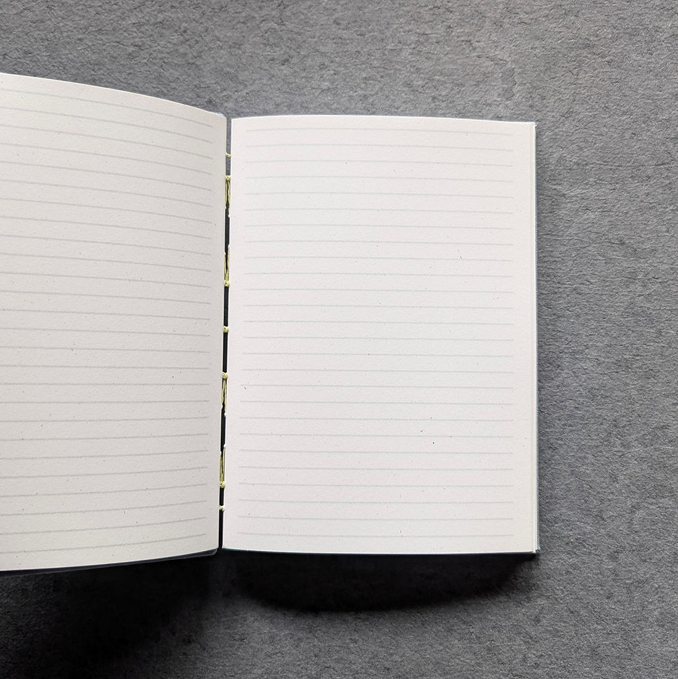 Thumbnail: Apricity Journal