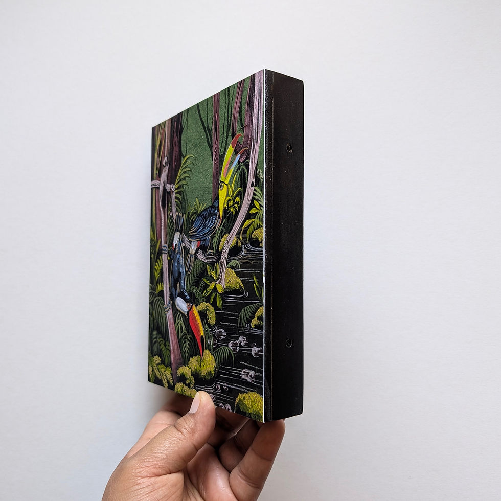 Thumbnail: Tropical Rainforest Biome