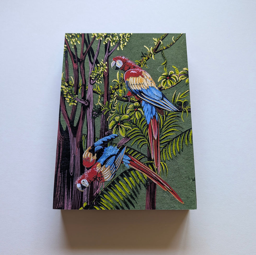 Thumbnail: Tropical Rainforest Biome