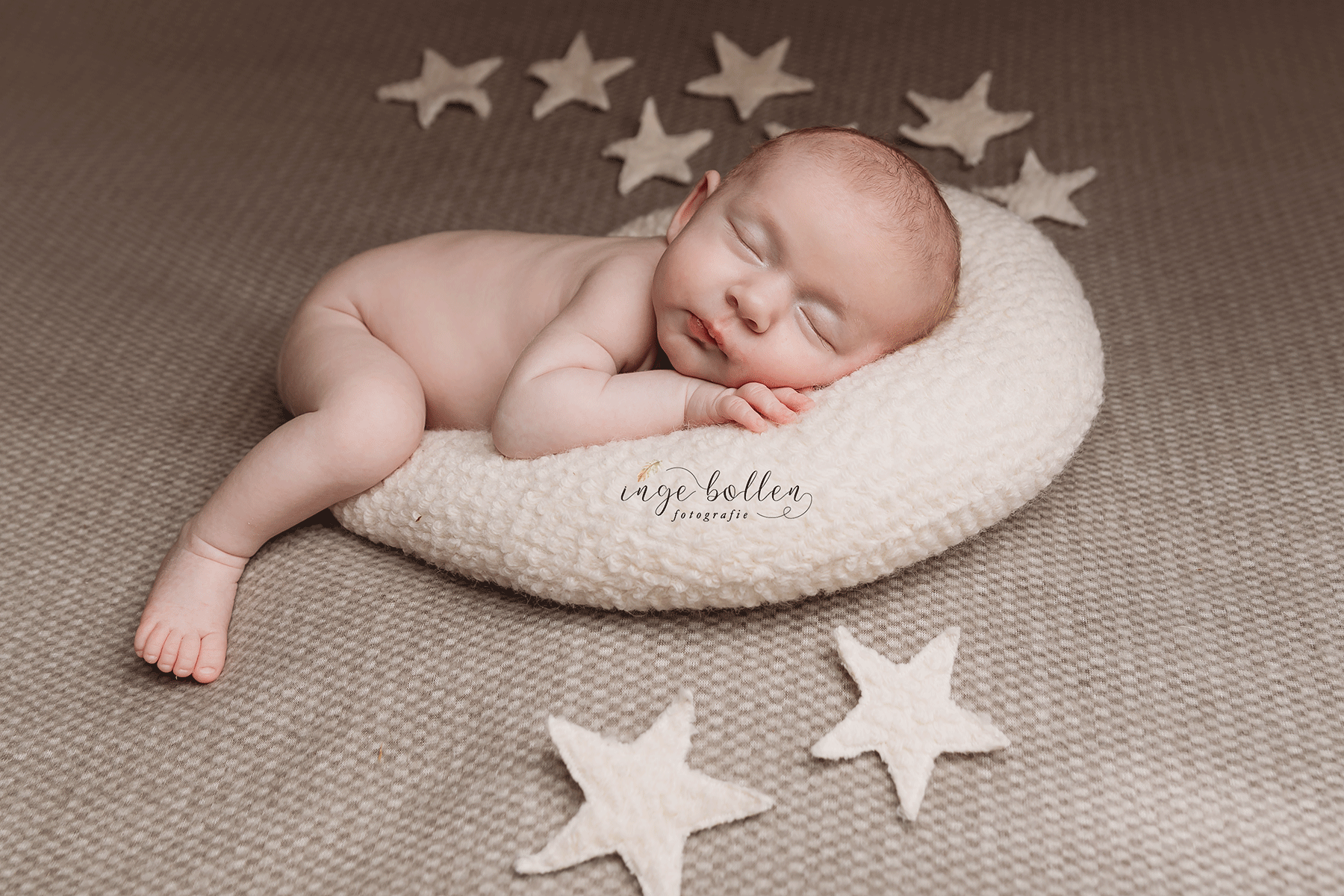 Newbornsessie Inge Bollen Fotografie