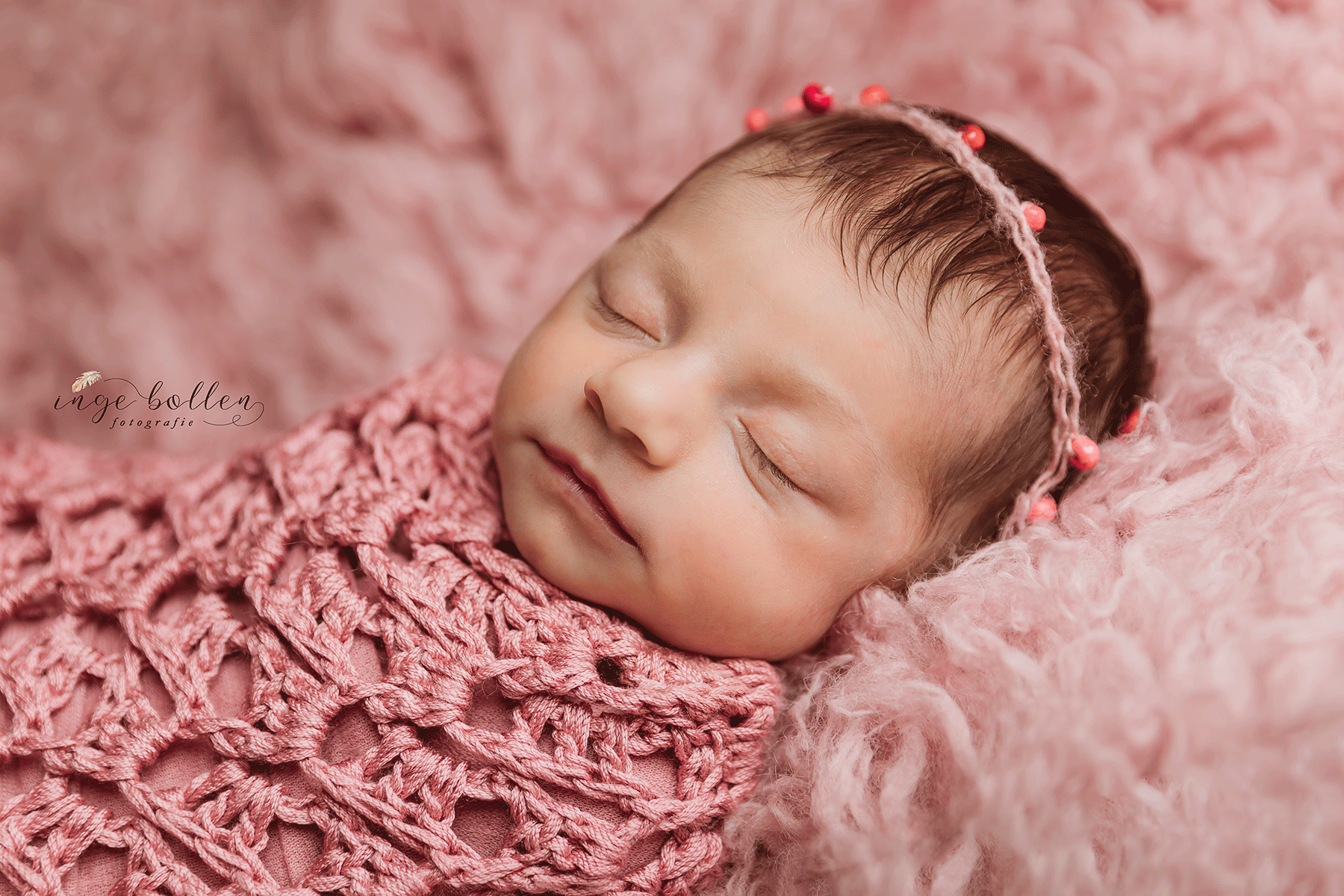 Newbornsessie Inge Bollen Fotografie