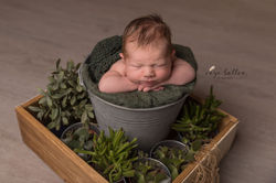 Newbornsessie Inge Bollen Fotografie