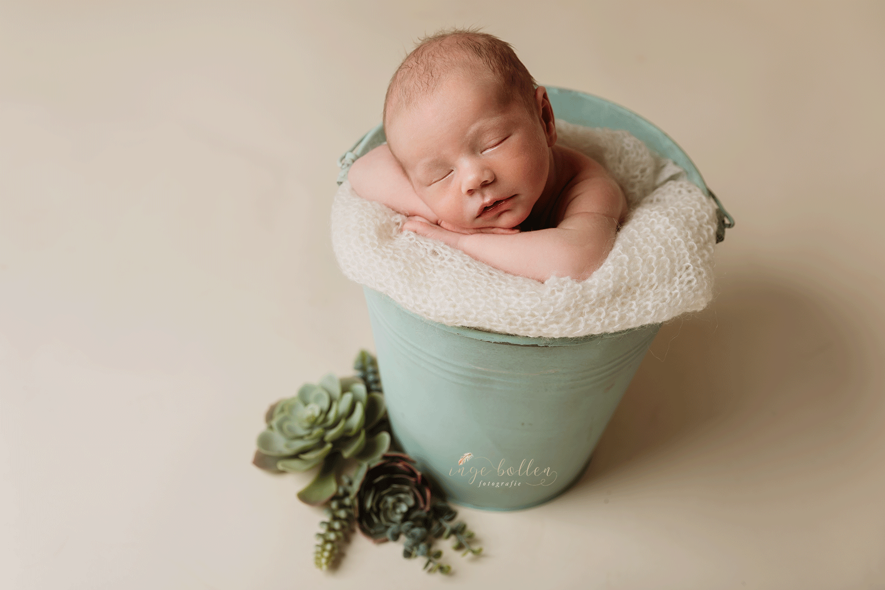 Newbornsessie Inge Bollen Fotografie