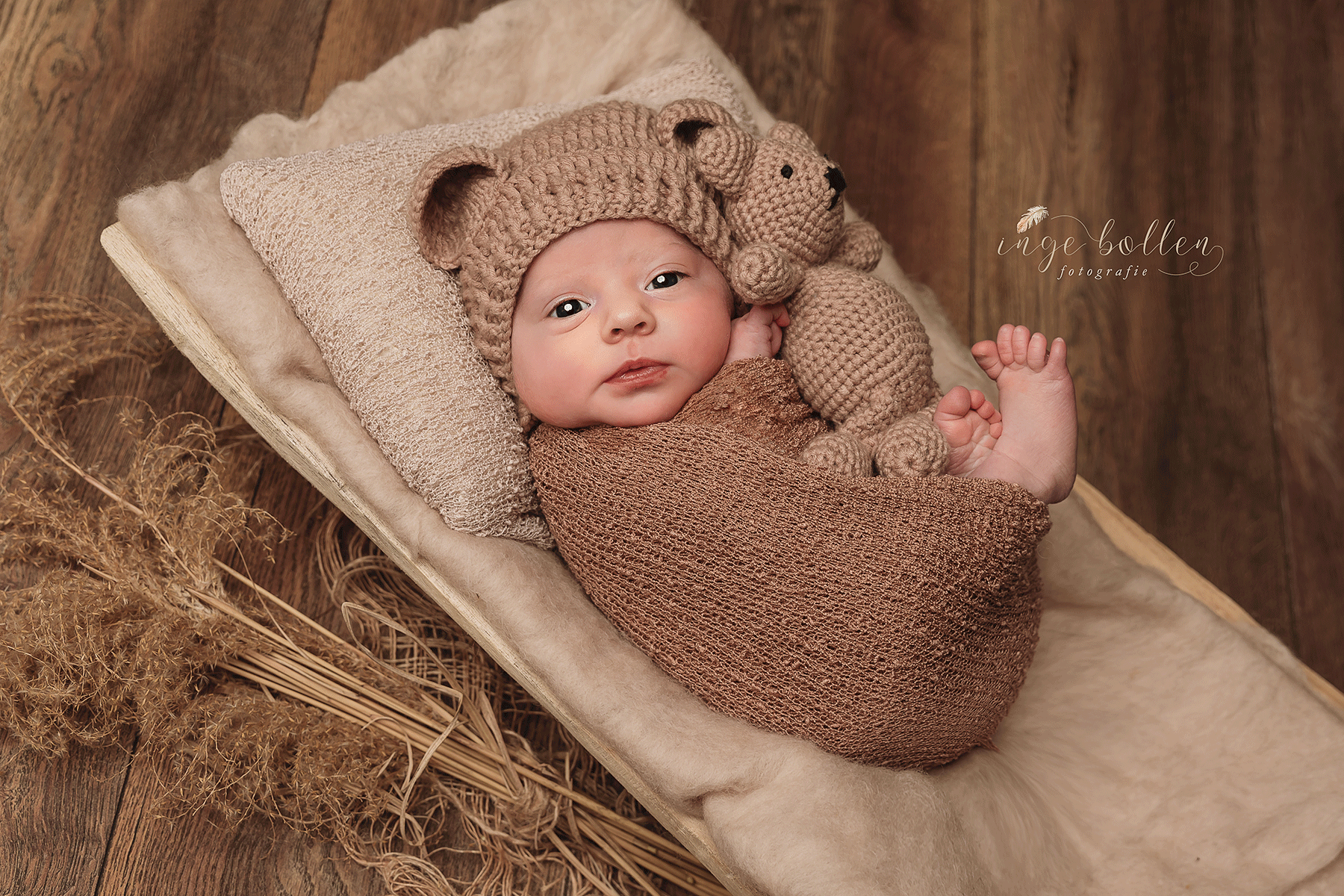 Newbornsessie Inge Bollen Fotografie