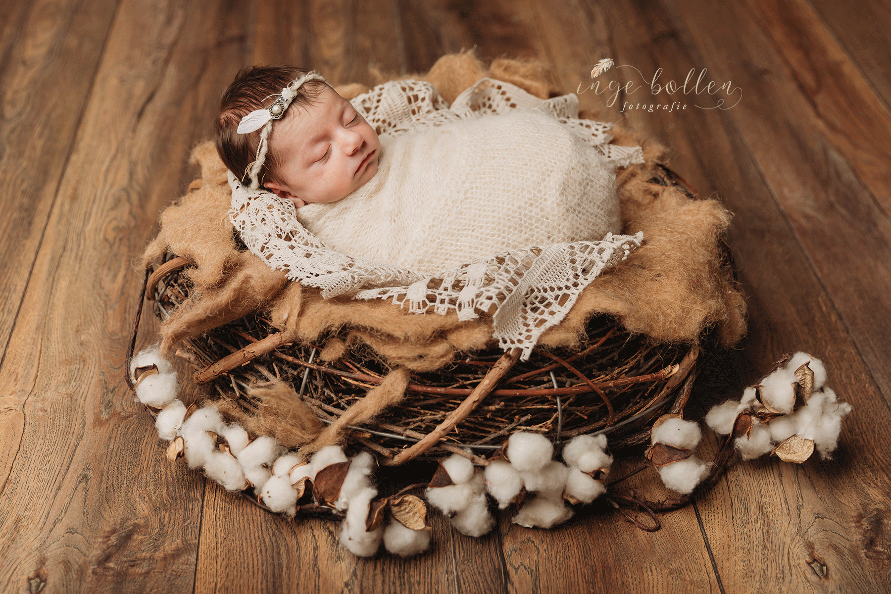 Newbornsessie Inge Bollen Fotografie