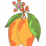 Attachment-1 (8).png