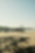A5C7F417-1DFB-4AFF-BC29-D7591FCC89CA.jpeg