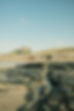 7DC05B94-D9EA-49C9-9E1B-F211FA733B9D.jpeg