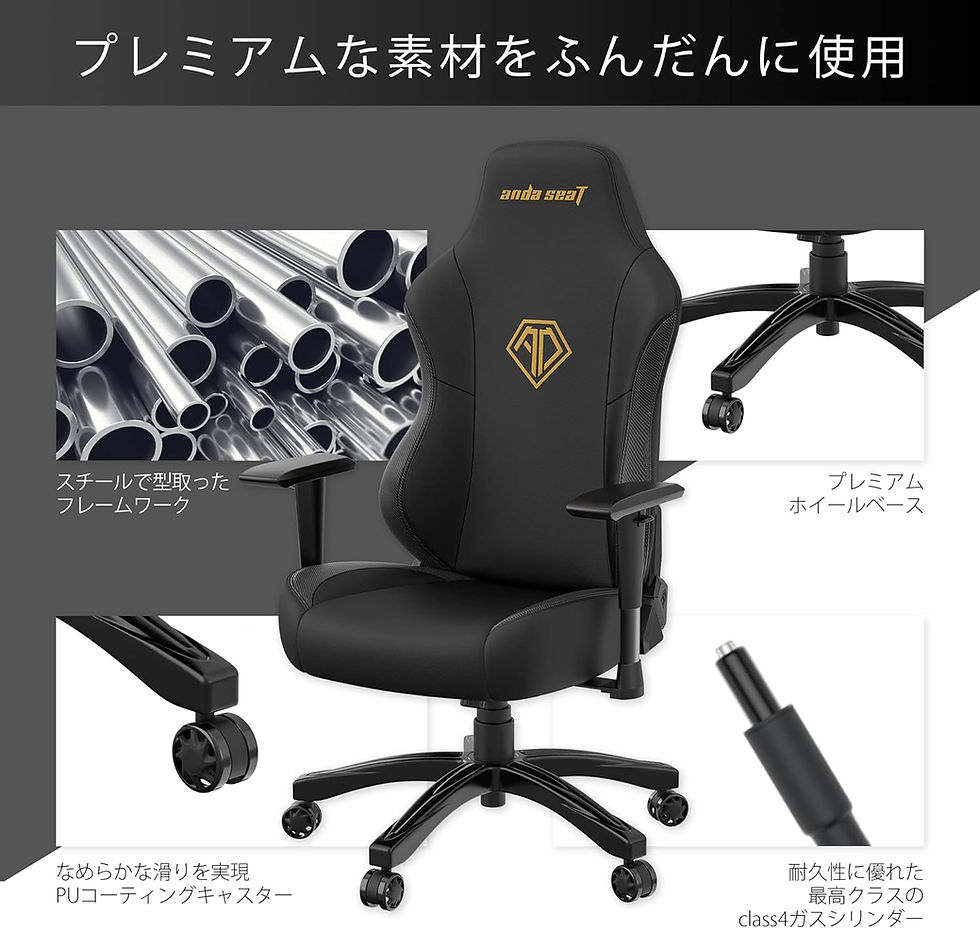 サムネイル： 【竹炭シートマット付属】Phantom3ブラック＆ゴールド