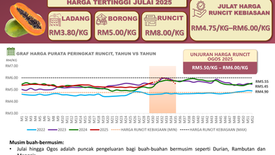Macam tahun sebelum-sebelumnya, harga betik sedikit tinggi sepanjang Ogos 2025!!!