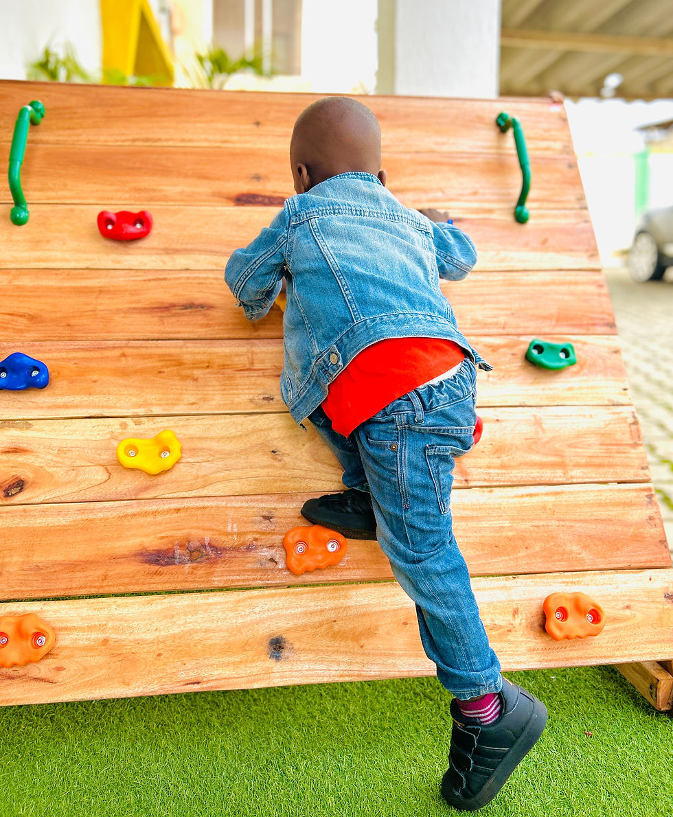 Mini Climber ( Ages 2 - 5)