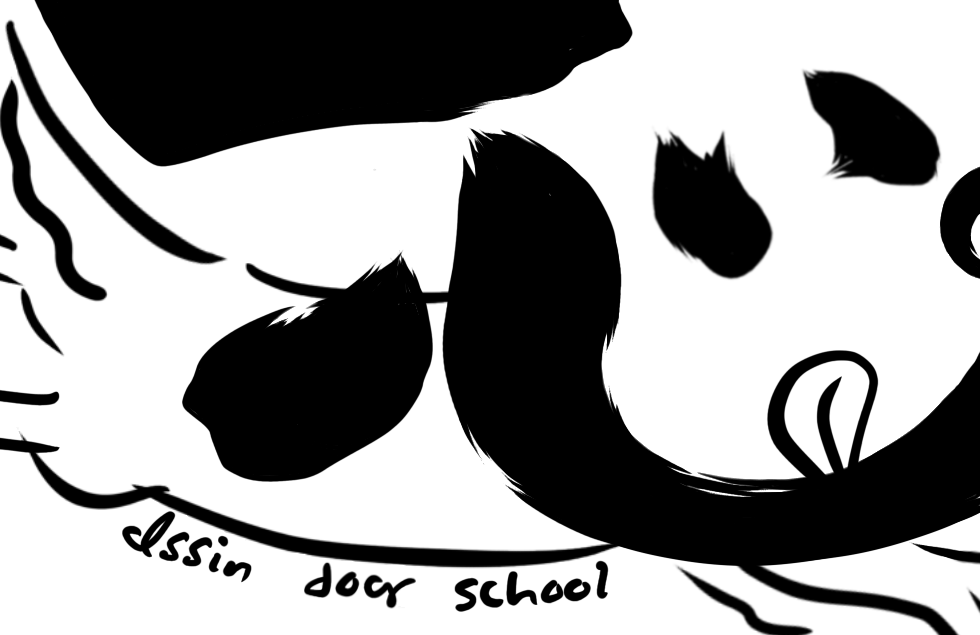 image0.png