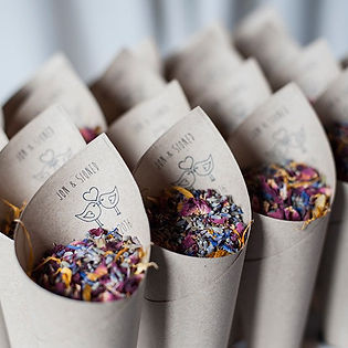 love birds-Confetti cone Company.jpg
