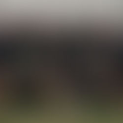 (Almost) end of season round-up