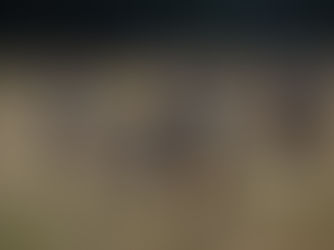 Update on junior section plans for the new season