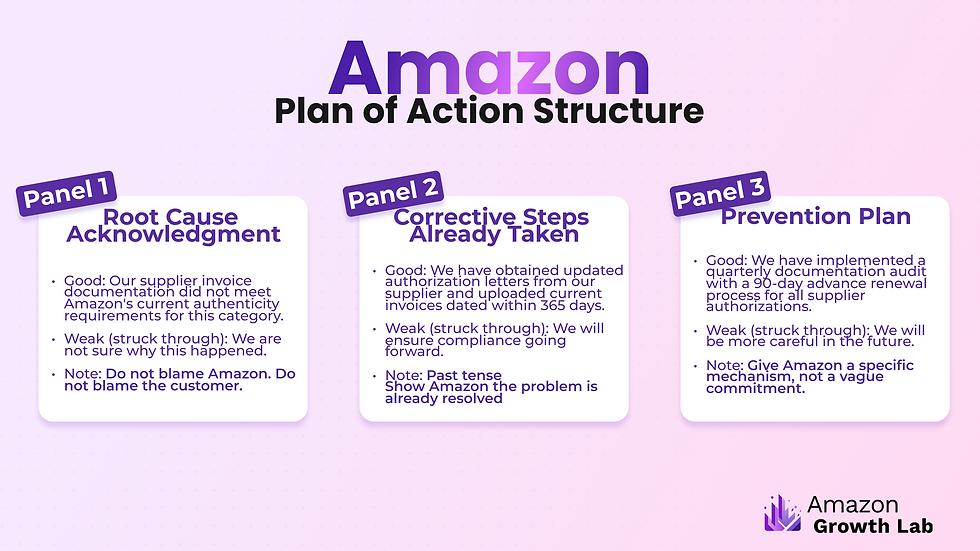 AM Image 6 — Plan of Action Structure.png