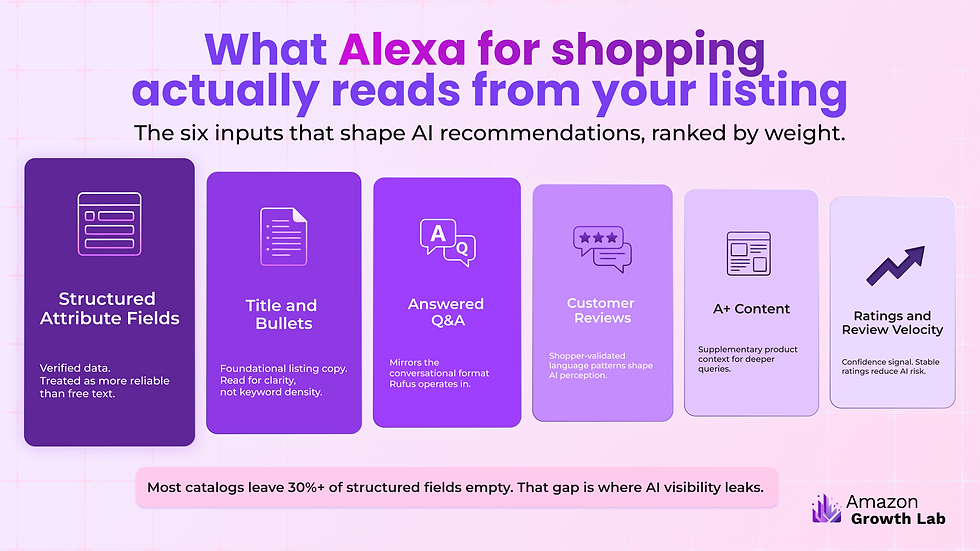 4_ Body. What Rufus Actually Reads.png