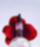 yon-ka retinal-like bi-serum.jpg