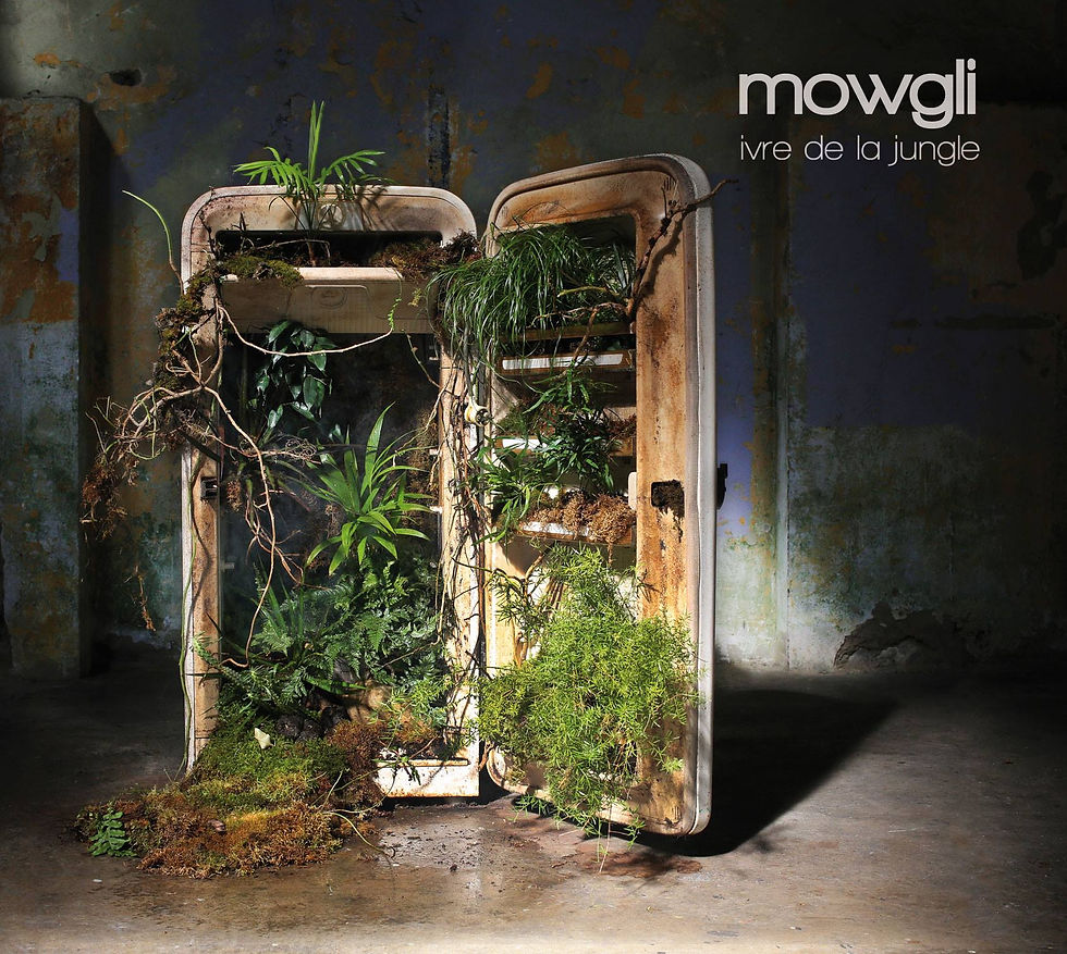 Visuels / Albums, Presse, Web ...