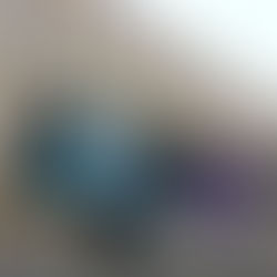 [4] KHÁI QUÁT VỀ QUYỀN ƯU ĐÃI, MIỄN TRỪ NGOẠI GIAO VÀ LÃNH SỰ