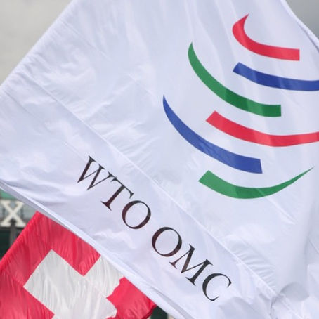 [19] CÁC NGUYÊN TẮC CƠ BẢN CỦA TỔ CHỨC THƯƠNG MẠI THẾ GIỚI (WTO)