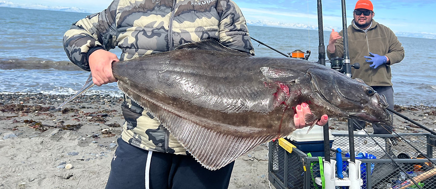huge halibut shore fishing
