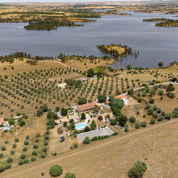 Wide drone view of lakefront estate olive groves and private land

