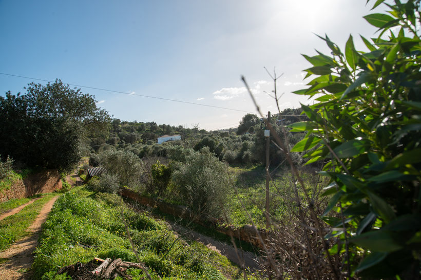 Algarve hillside view near villa property