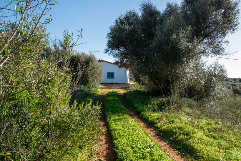 Algarve garden pathway at villa property
