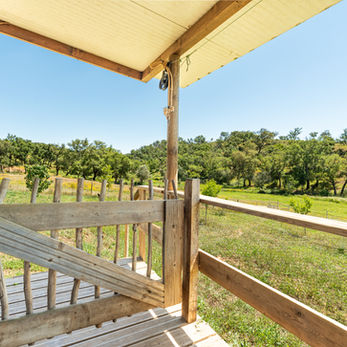 View from a covered terrace across land at an off-grid property in Alentejo.

