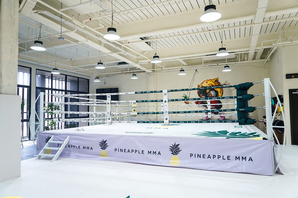 training floor at pineapple mma in singapore