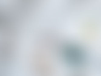 pricing muay thai in singapore article hero image