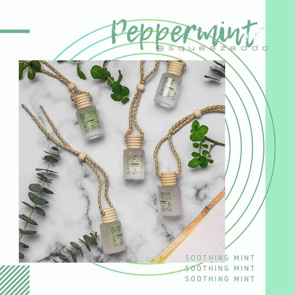 Thumbnail: Peppermint Hanging Diffuser