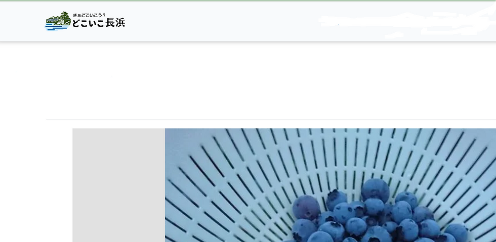 サイトSC3.png