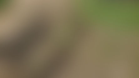 水はけ対策①外堀り (2020/10/31)