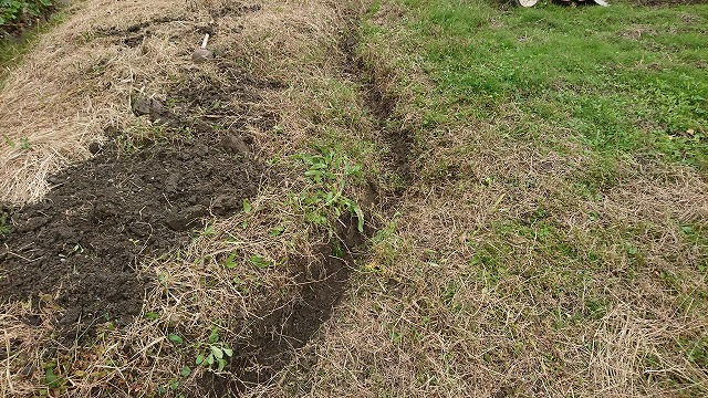 水はけ対策①外堀り (2020/10/31)