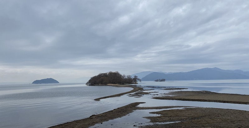 長浜観光 琵琶湖 水鳥エリア (2024/2/16)