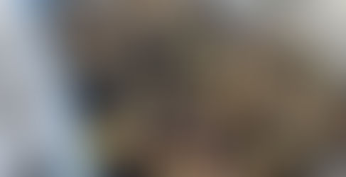 挿し木の様子 (2023/4/10)